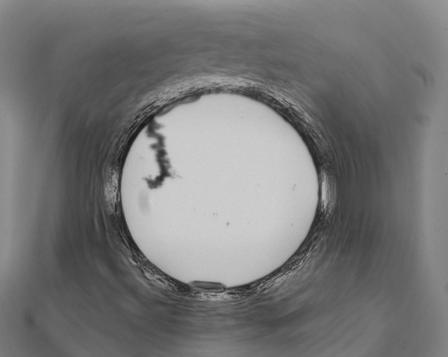 X0000111591492200908131329