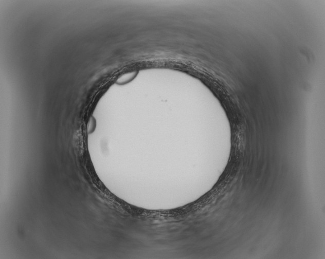 X0000111591493200908131329