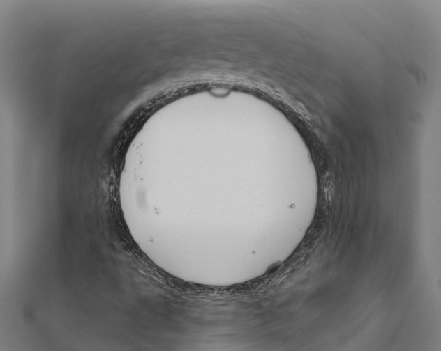 X0000111591495200908131329