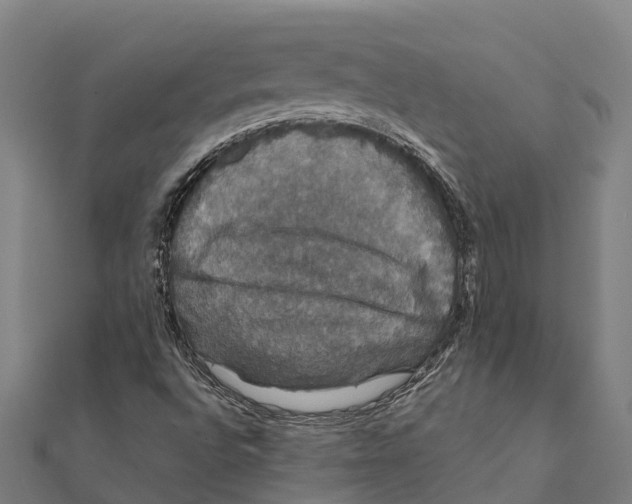 X0000111591496200908131329