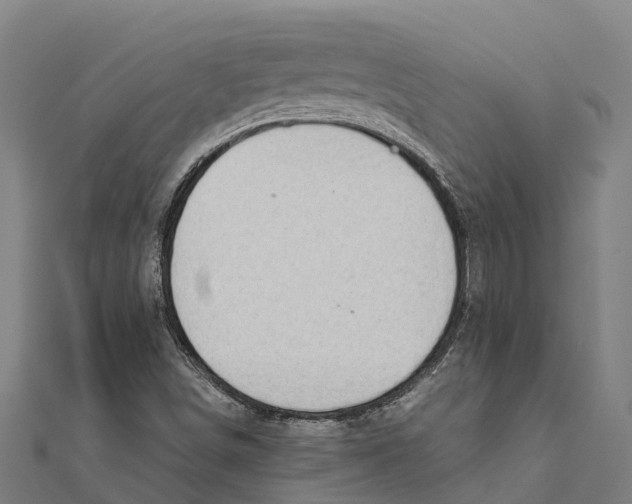 X0000111591498200908131329