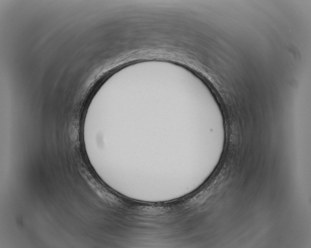 X0000111591499200908131329