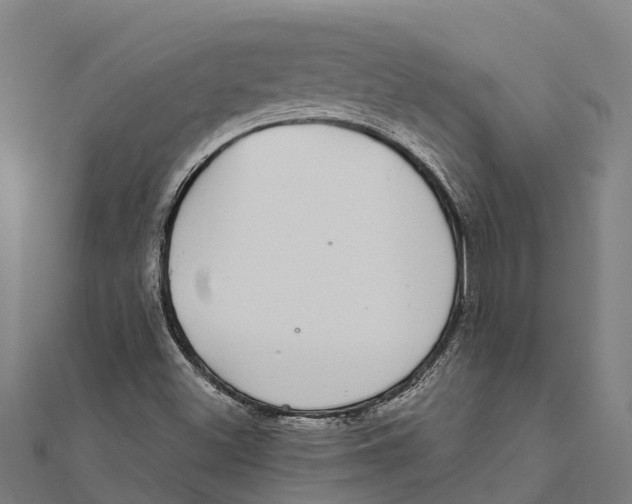 X0000111591500200908131329
