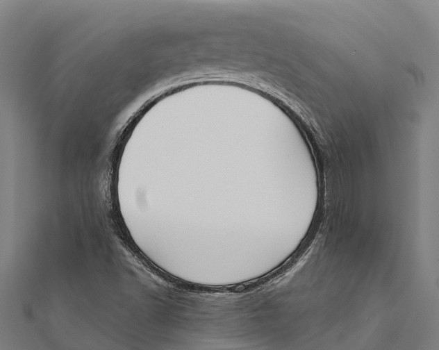 X0000111591502200908131329
