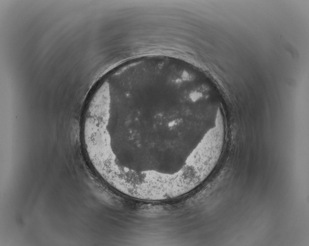 X0000111591505200908131329