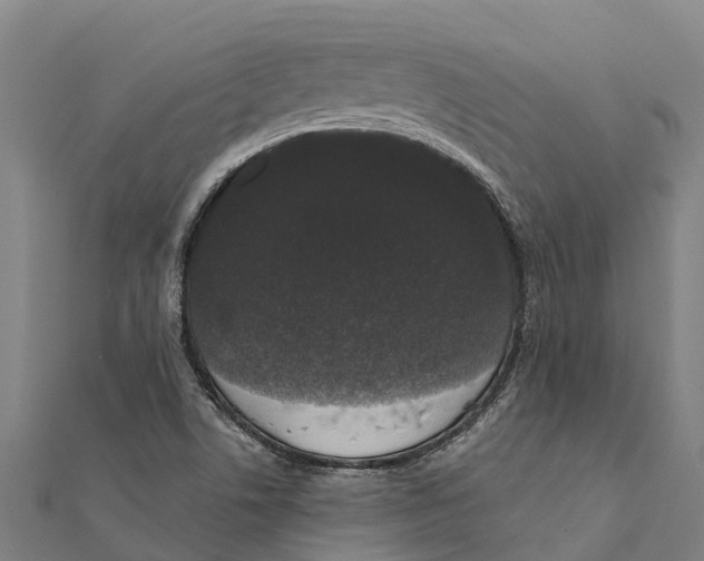 X0000111591506200908131329