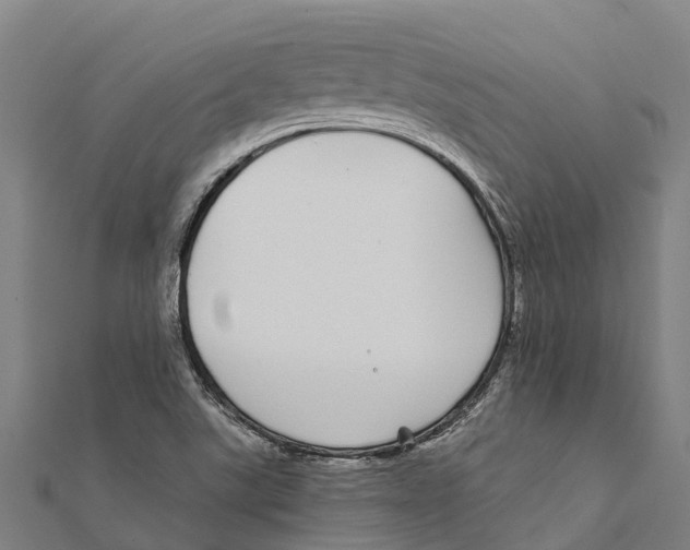 X0000111591507200908131329