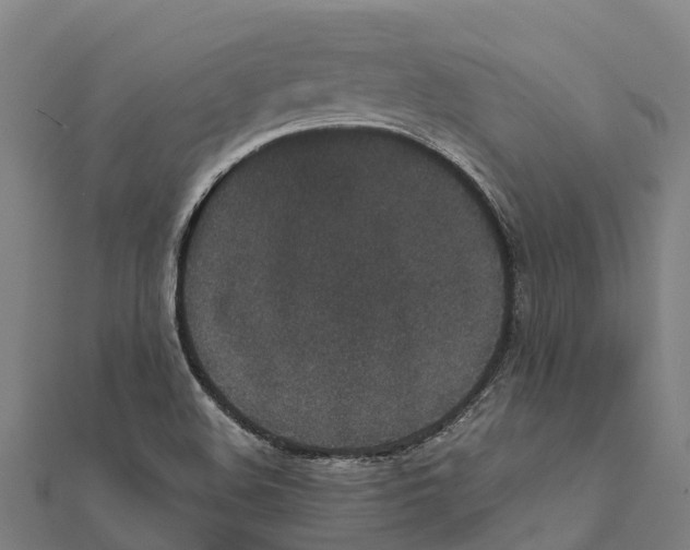 X0000111591508200908131329