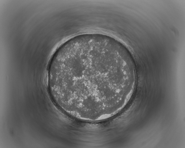 X0000111591509200908131329