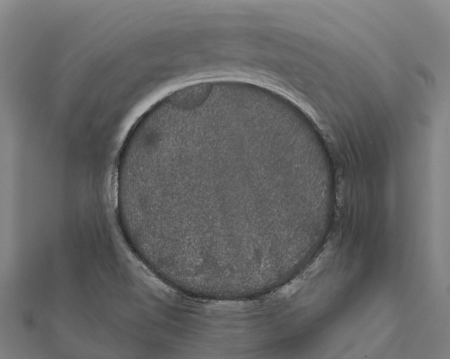 X0000111591510200908131329