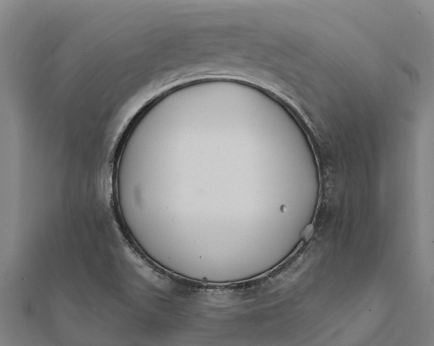 X0000111591511200908131329