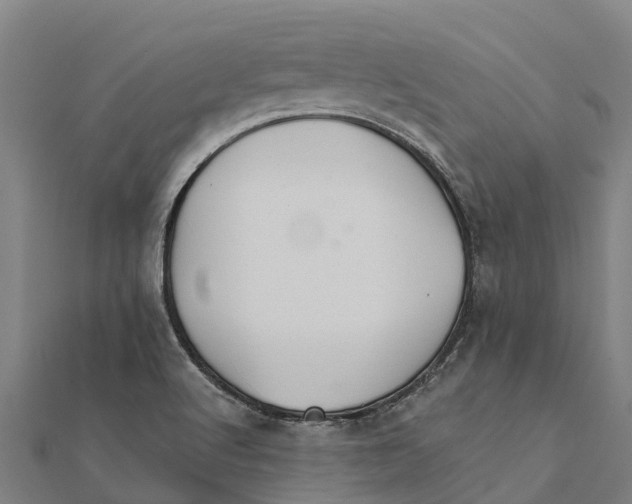 X0000111591512200908131329