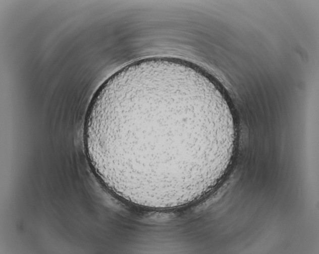 X0000111591513200908131329