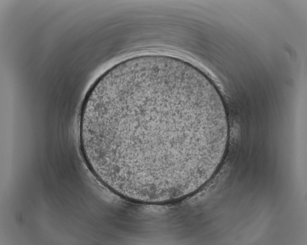 X0000111591514200908131329