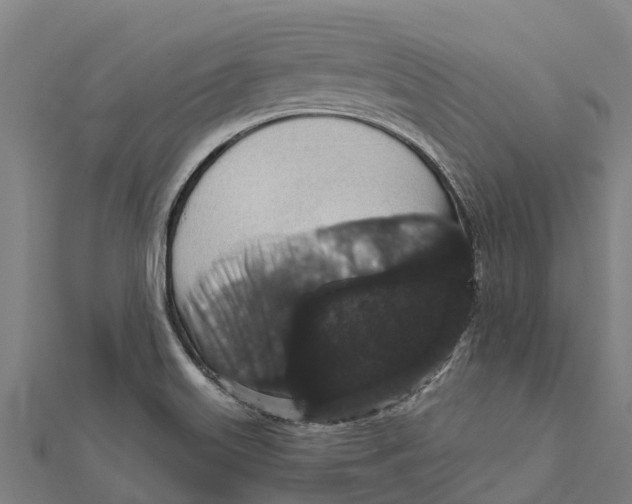 X0000111591515200908131329