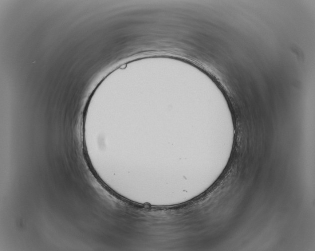X0000111591516200908131329