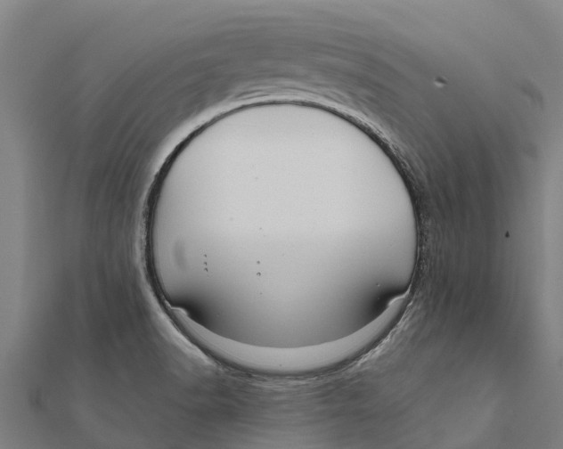 X0000111591518200908131329