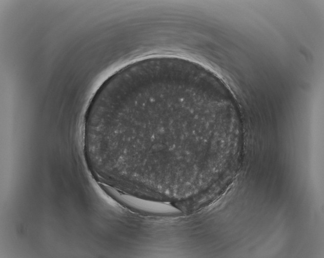 X0000111591519200908131329
