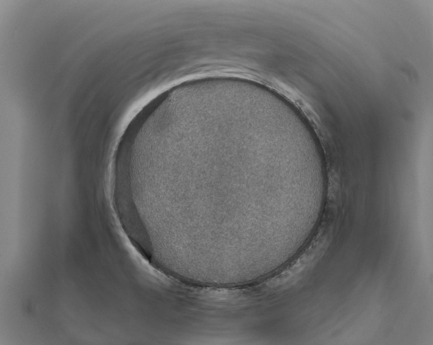 X0000111591520200908131329