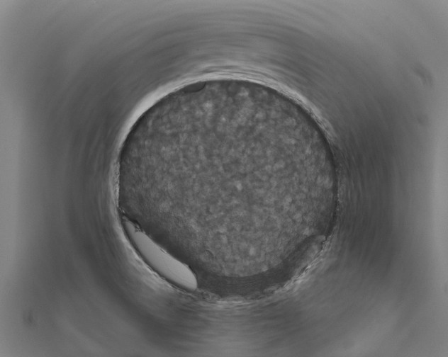 X0000111591522200908131329