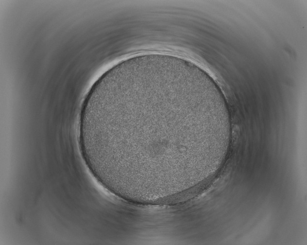 X0000111591523200908131329