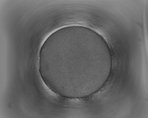 X0000111591524200908131329