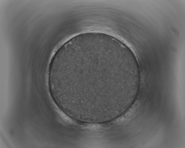 X0000111591525200908131329
