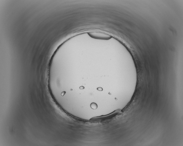 X0000111591526200908131329