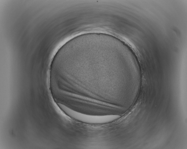 X0000111591528200908131329