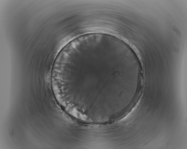 X0000111591529200908131329