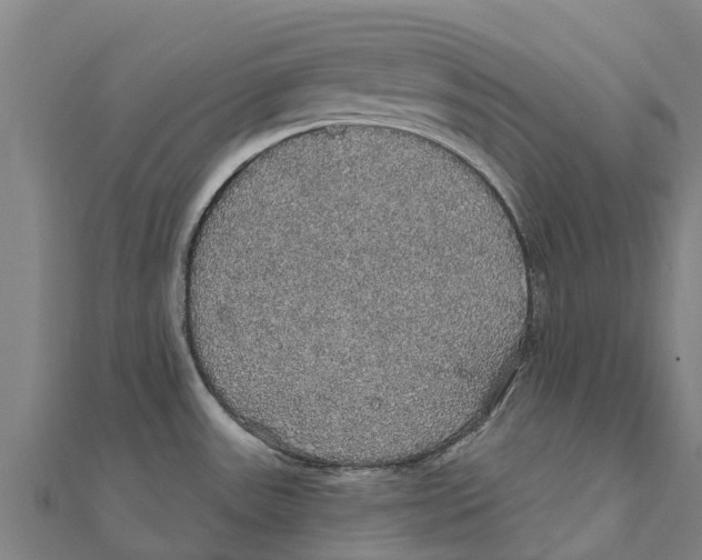X0000111591531200908131329