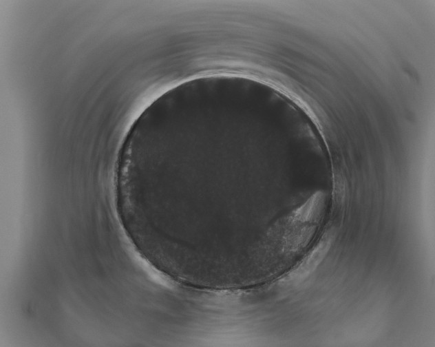 X0000111591533200908131329