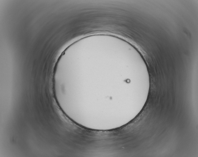 X0000111591534200908131329