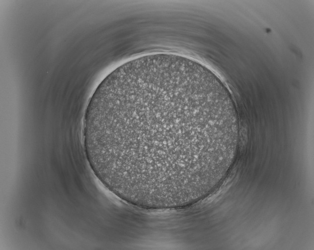 X0000111591535200908131329