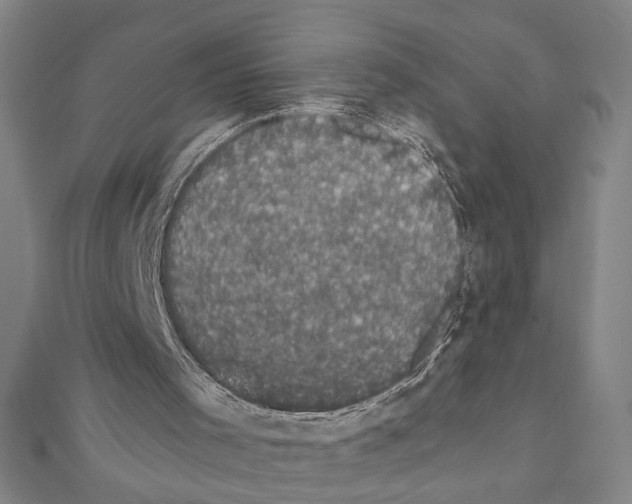X0000111590001200908271019