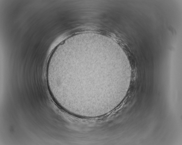 X0000111590004200908271019
