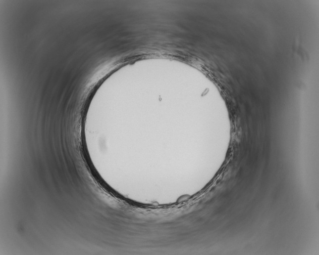 X0000111590005200908271019