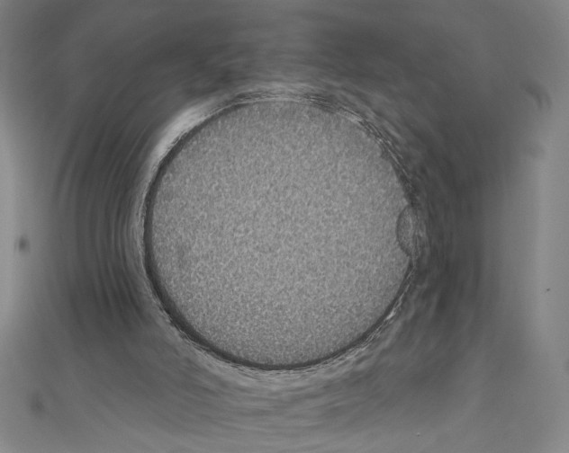 X0000111590006200908271019