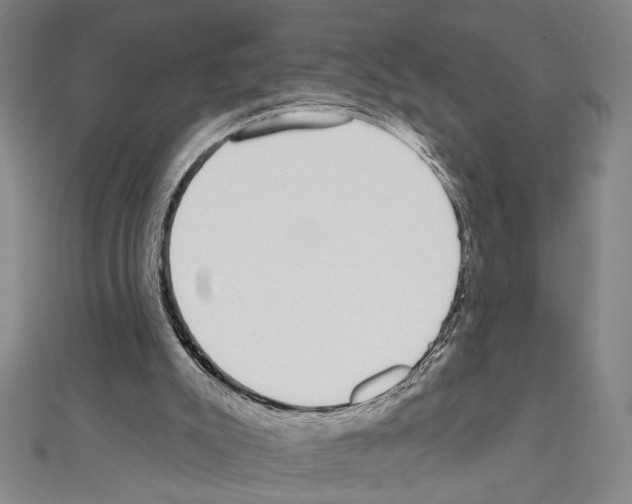 X0000111590007200908271019