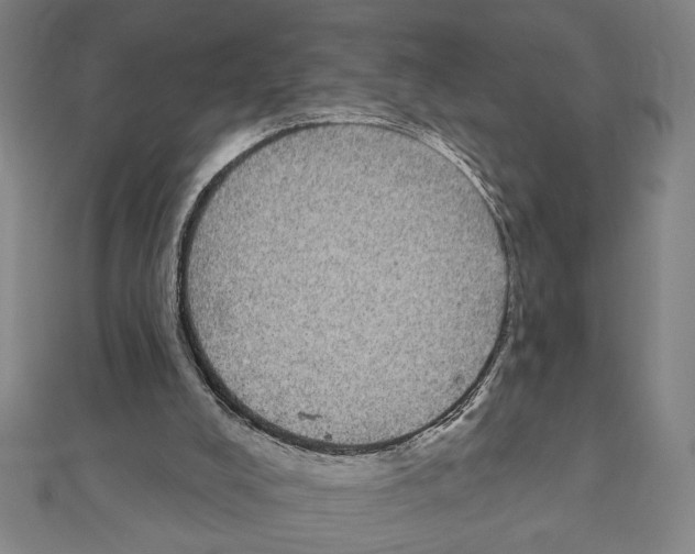 X0000111590008200908271019