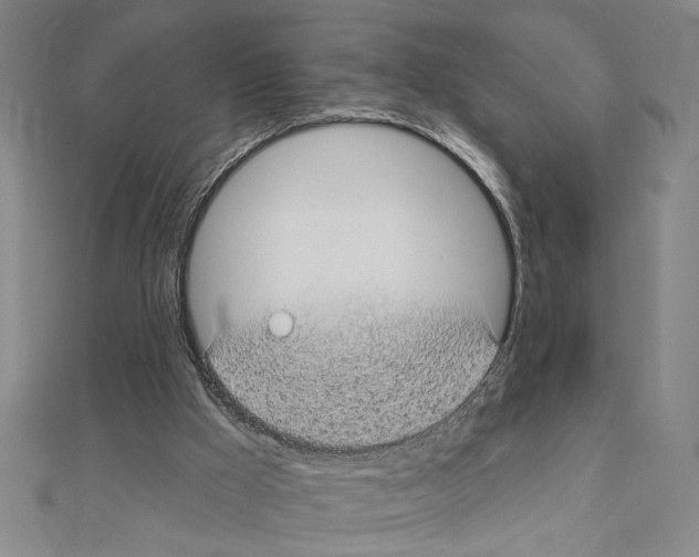 X0000111590009200908271019