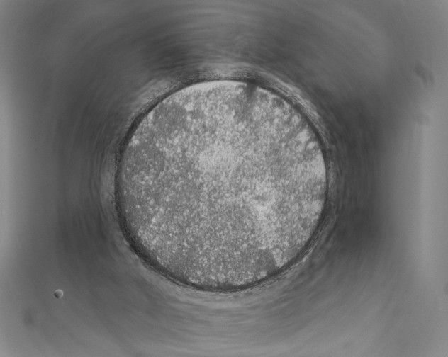 X0000111590010200908271019