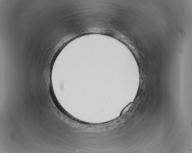 X0000111590011200908271019