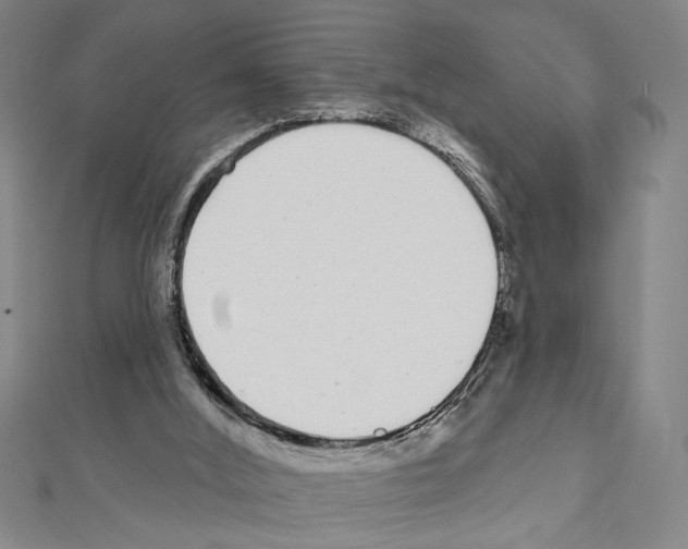 X0000111590012200908271019