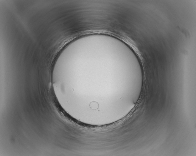 X0000111590013200908271019