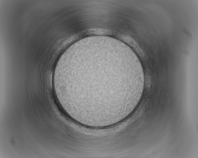 X0000111590014200908271019
