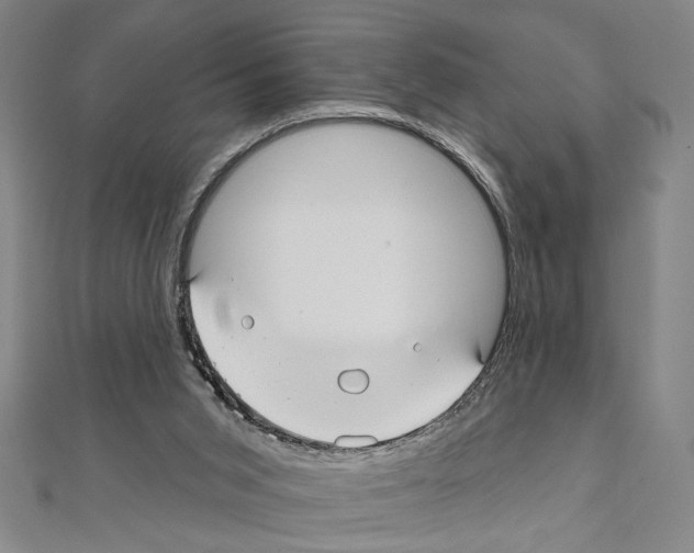 X0000111590015200908271019