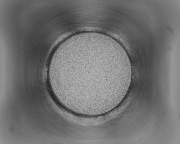 X0000111590016200908271019