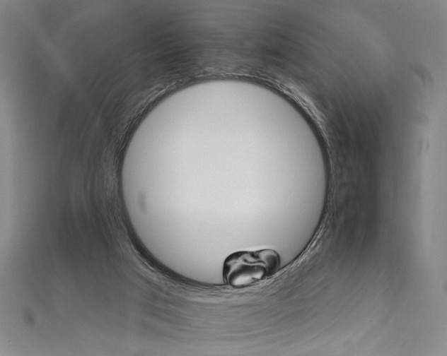 X0000111590017200908271019