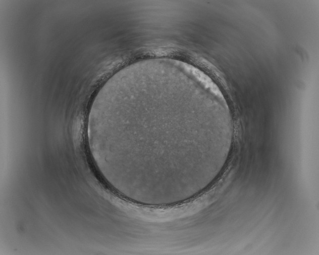 X0000111590018200908271019